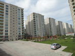 Dsc00310