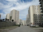 Dsc00315