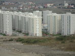 Dsc00320